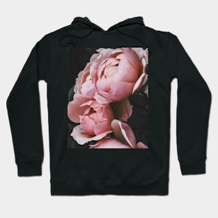 Peony, Pink flower, Peonies, Modern art, Wall art, Print, Minimalistic, Modern, Scandinavian print Hoodie